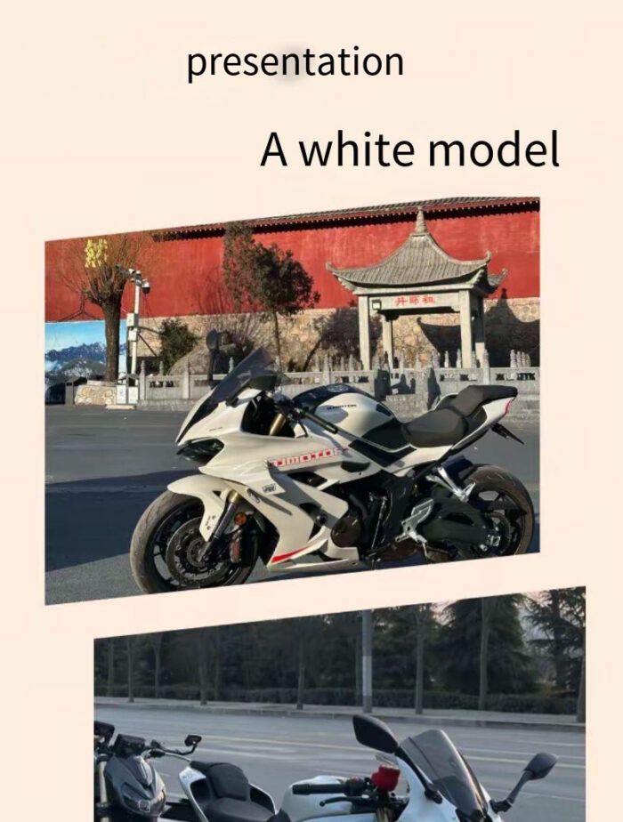 QJMOTO SRK600RS/SKR800/800RS Racing Windshield - Image 7