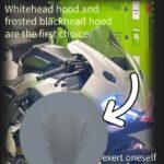 CFMOTO 675SR's Split Windshield Design